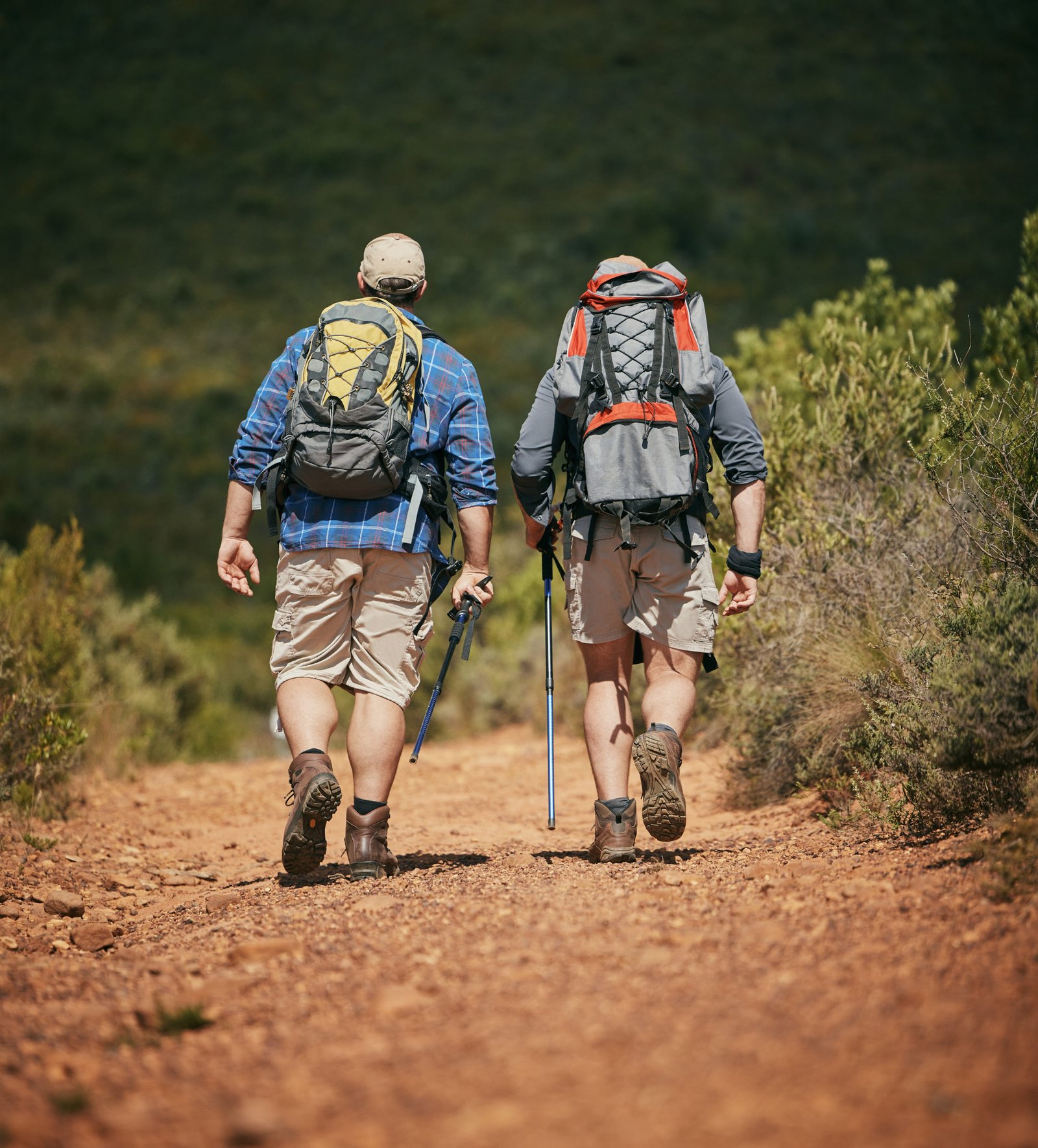 Two hikers walking together on a trail, symbolizing mentorship and companionship