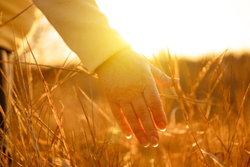 Focussing on the Truth